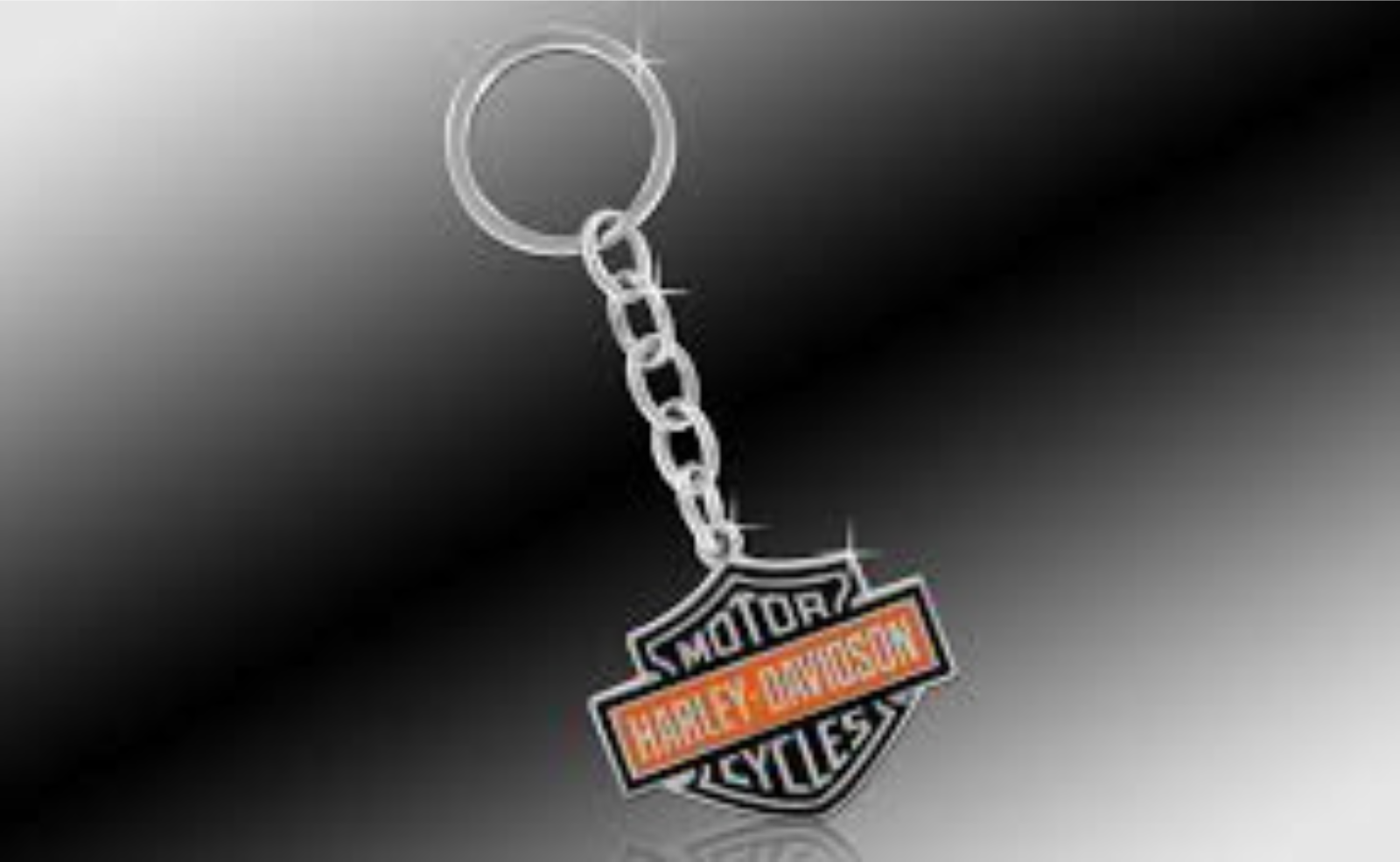 Rev Up Your Style With A Harley Davidson Key Chain!