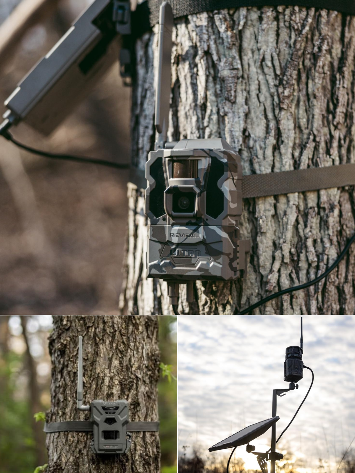 3 trail cameras the send photos to your phone shown in different hunting settings