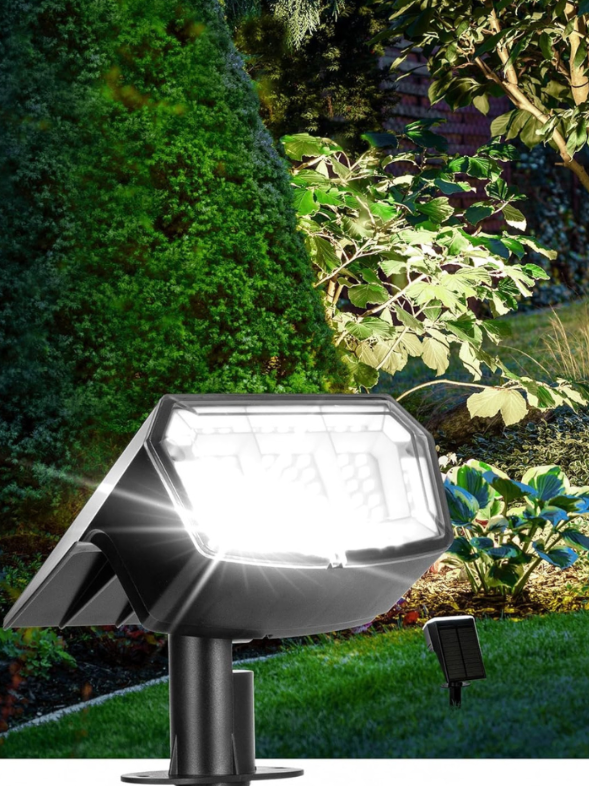 A solar LED light being used as a landscaping tool.