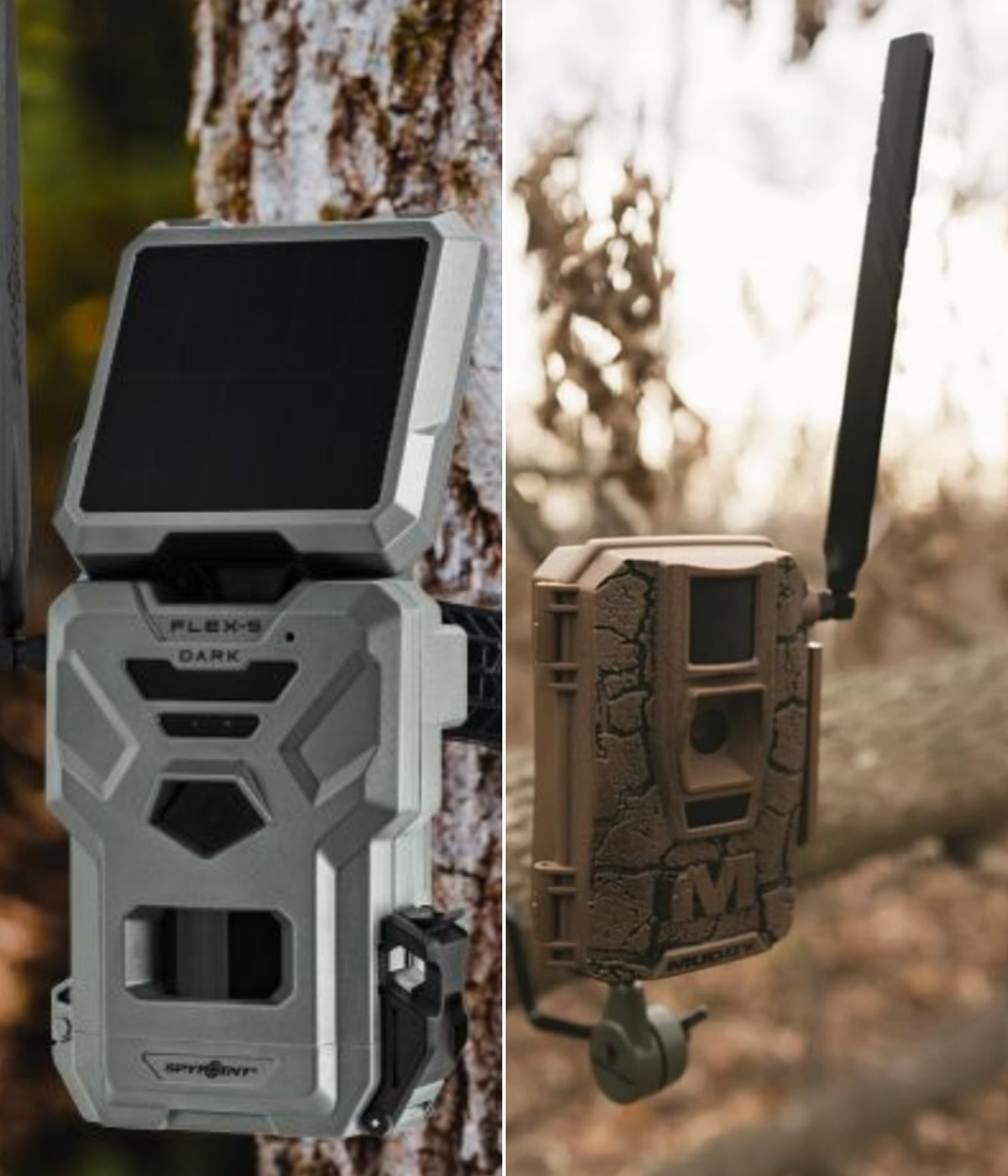 Flex-S Spypoint and Muddy Mitigator 2.0 Muddy trail cameras on trees.