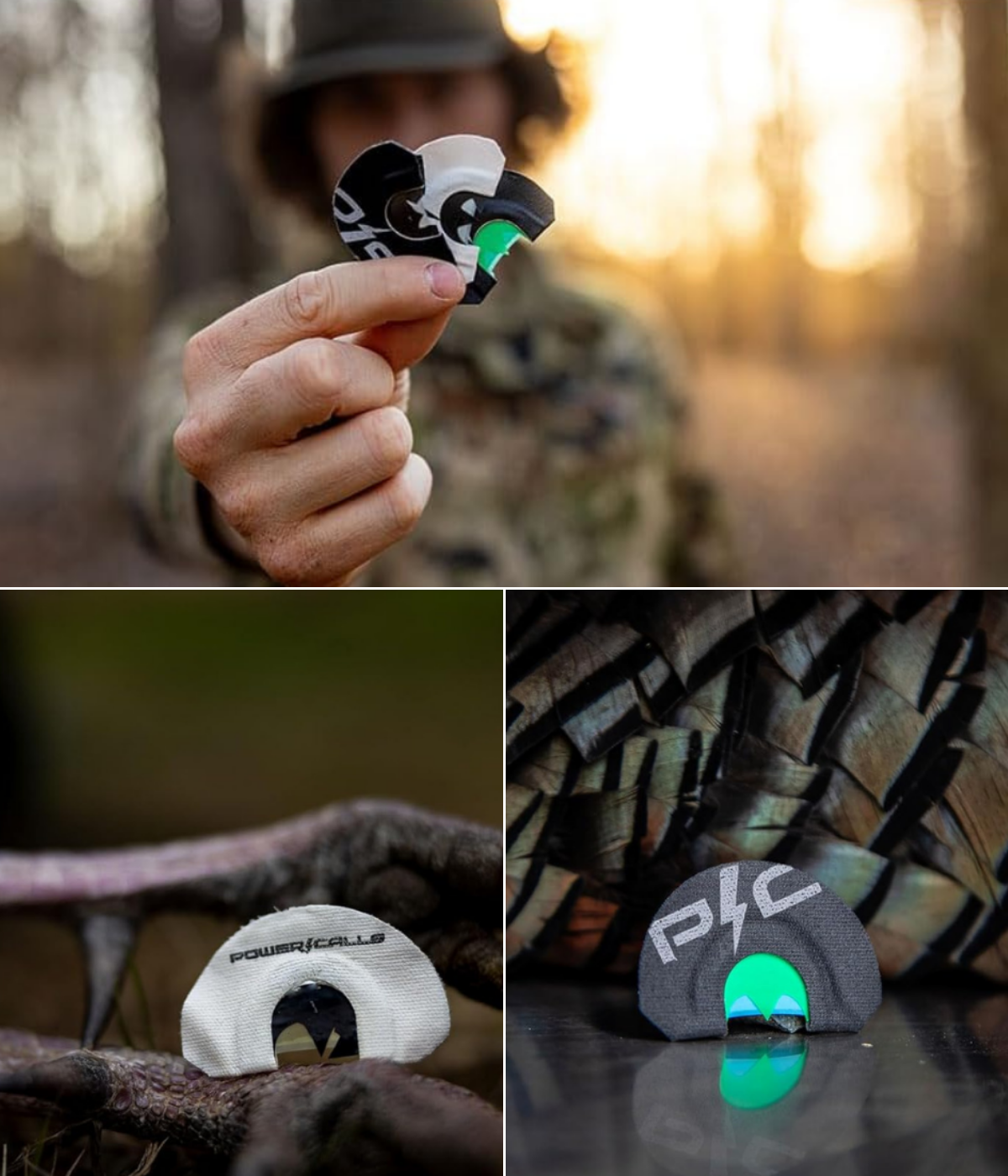 A 3 pack and 2 individual calls on display next to turkeys killed.