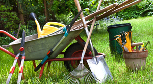 Lawn and Garden